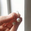 Freshwater Pearls vs. Cultured Pearls: What's the Difference? - Lolabean