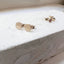 Tiny Gold Disc Stud Earrings