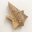 Sterling silver citrine hoop earrings on a wooden star