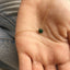 Dainty Emerald Necklace