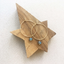 Gold hoops with labradorite charms on a wooden star