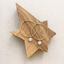 Gold-filled opal hoop earrings on a wooden star