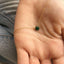 Dainty Emerald Necklace - Lolabean