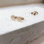 Tiny Gold Disc Stud Earrings - Lolabean